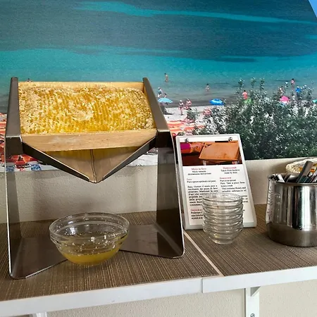 Hotel Alma Di 4*