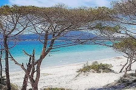 Alma Di Alghero